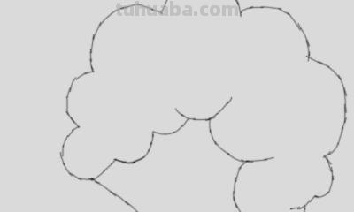 植物简笔画怎么画（植物简笔画怎么画的又漂亮又好看）