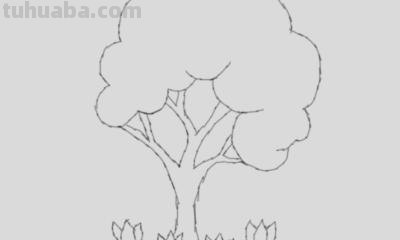 植物简笔画怎么画（植物简笔画怎么画的又漂亮又好看）