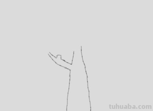 植物简笔画怎么画（植物简笔画怎么画的又漂亮又好看）