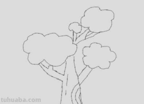 植物简笔画怎么画（植物简笔画怎么画的又漂亮又好看）