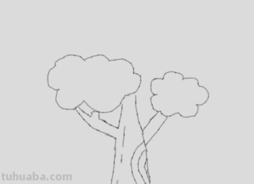 植物简笔画怎么画（植物简笔画怎么画的又漂亮又好看）