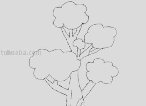 植物简笔画怎么画（植物简笔画怎么画的又漂亮又好看）