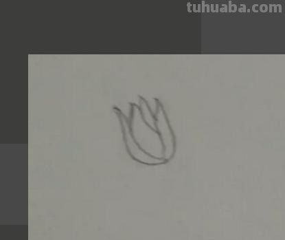 植物简笔画怎么画（植物简笔画怎么画的又漂亮又好看）