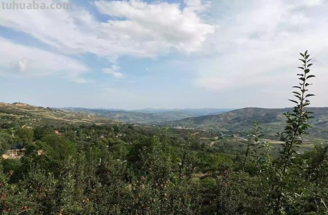 农村写生速写（农村写生速写简单）