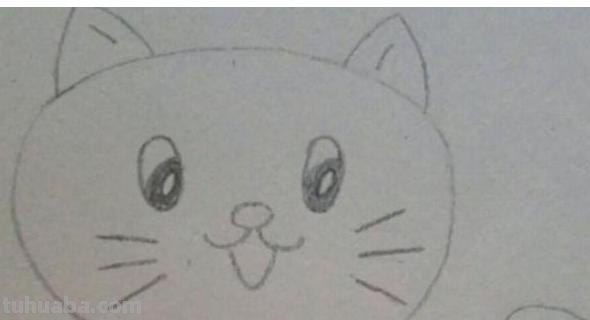猫咪怎么画简笔画（趴着的猫咪怎么画简笔画）