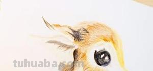 水溶性彩铅怎么画（水溶性彩铅怎么画出水彩效果）