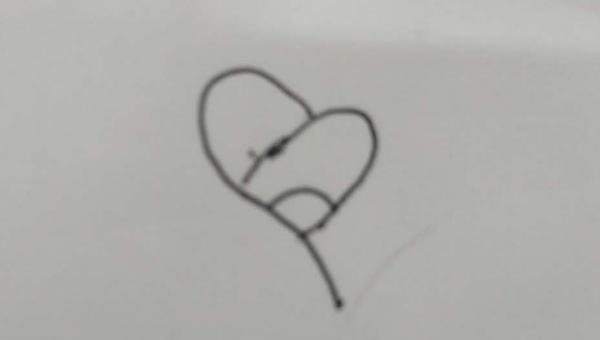 玫瑰怎么画简笔画（玫瑰怎么画简笔画 简单）