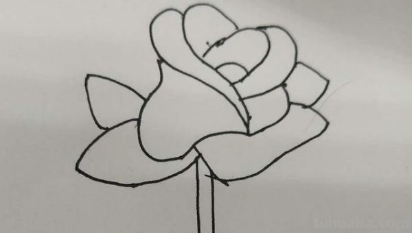玫瑰怎么画简笔画（玫瑰怎么画简笔画 简单）