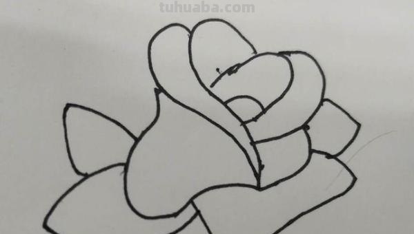 玫瑰怎么画简笔画（玫瑰怎么画简笔画 简单）