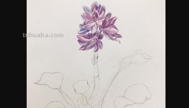 康乃馨怎么画漂亮彩铅(康乃馨怎么画漂亮彩铅图片) 康乃馨怎么画漂亮彩铅(康乃馨怎么画漂亮彩铅图片)