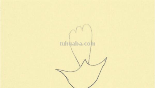 康乃馨怎么画漂亮彩铅(康乃馨怎么画漂亮彩铅图片) 康乃馨怎么画漂亮彩铅(康乃馨怎么画漂亮彩铅图片)