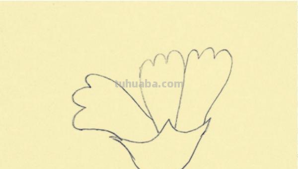 康乃馨怎么画漂亮彩铅(康乃馨怎么画漂亮彩铅图片) 康乃馨怎么画漂亮彩铅(康乃馨怎么画漂亮彩铅图片)