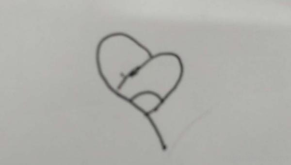 玫瑰简笔画怎么画（玫瑰简笔画怎么画要非常非常简单）