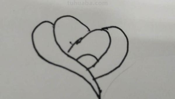 玫瑰简笔画怎么画（玫瑰简笔画怎么画要非常非常简单）