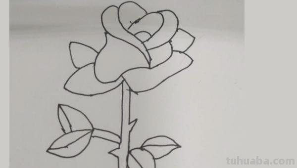 玫瑰简笔画怎么画（玫瑰简笔画怎么画要非常非常简单）