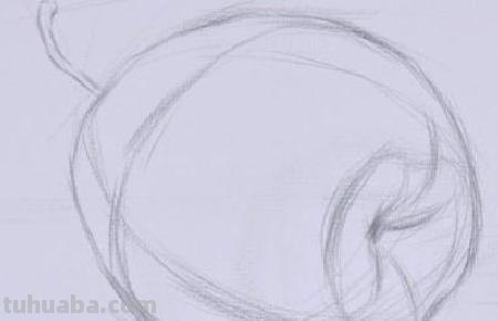 水果创意速写（水果创意速写图片）