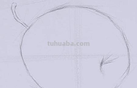 水果创意速写（水果创意速写图片）