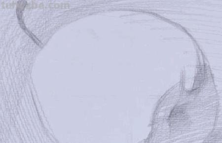 水果创意速写（水果创意速写图片）