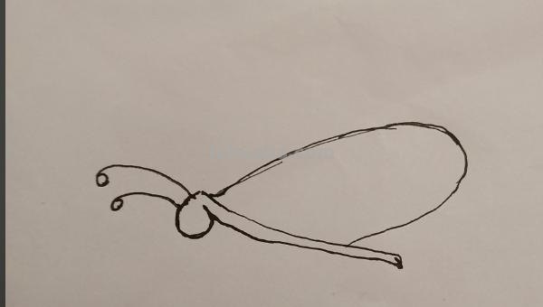 简笔画蝴蝶怎么画（简笔画蝴蝶怎么画简单又漂亮）