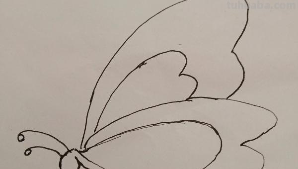 简笔画蝴蝶怎么画（简笔画蝴蝶怎么画简单又漂亮）