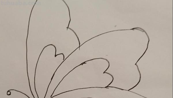 简笔画蝴蝶怎么画（简笔画蝴蝶怎么画简单又漂亮）