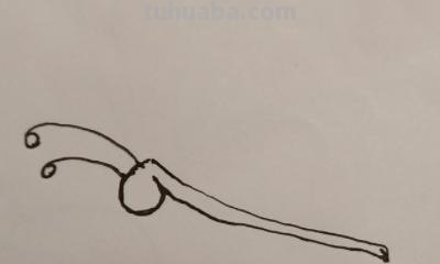 简笔画蝴蝶怎么画（简笔画蝴蝶怎么画简单又漂亮）