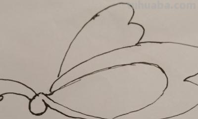 简笔画蝴蝶怎么画（简笔画蝴蝶怎么画简单又漂亮）