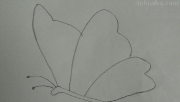 简笔画蝴蝶怎么画（简笔画蝴蝶怎么画简单又漂亮）