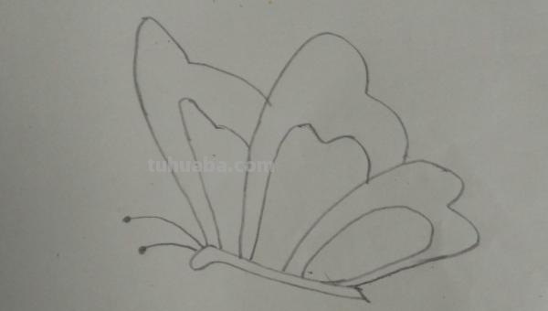 简笔画蝴蝶怎么画（简笔画蝴蝶怎么画简单又漂亮）