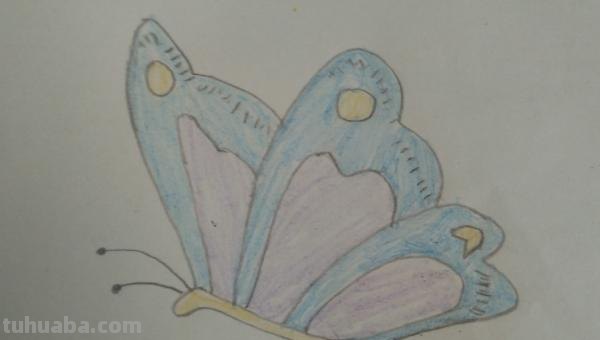 简笔画蝴蝶怎么画（简笔画蝴蝶怎么画简单又漂亮）