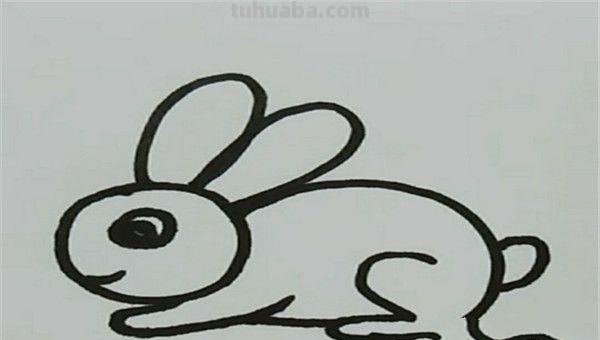 小兔怎么画简笔画（小兔怎么画简笔画图片）