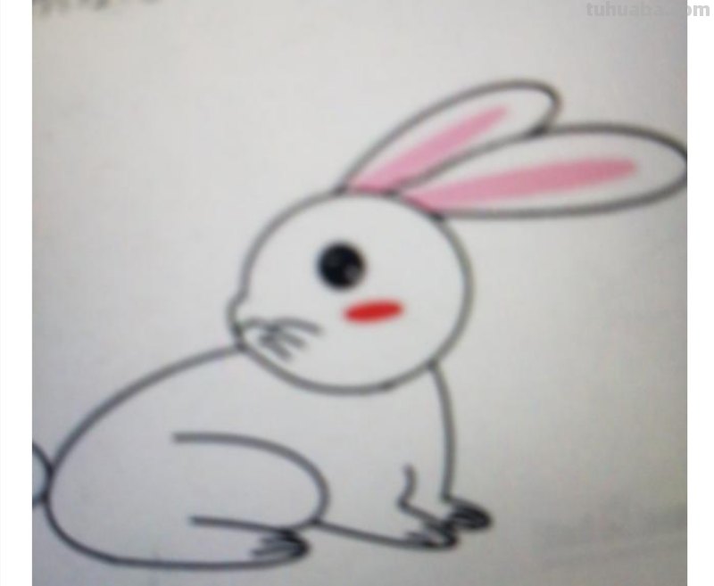 小兔怎么画简笔画（小兔怎么画简笔画图片）