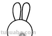 小兔怎么画简笔画（小兔怎么画简笔画图片）