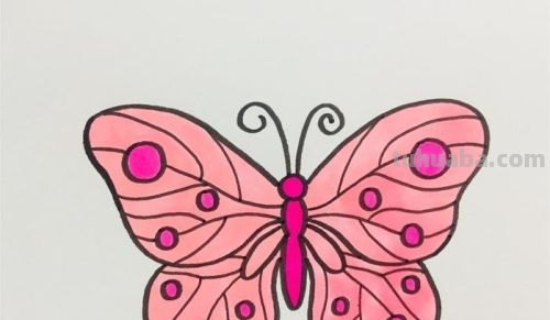 蝴蝶怎么画简笔画（蝴蝶怎么画简笔画图片）