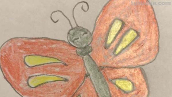 蝴蝶怎么画简笔画（蝴蝶怎么画简笔画图片）