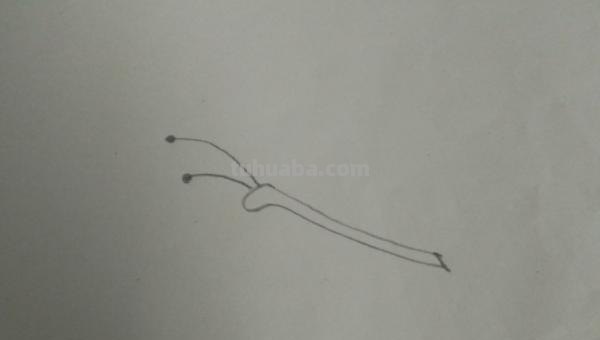 蝴蝶怎么画简笔画（蝴蝶怎么画简笔画图片）