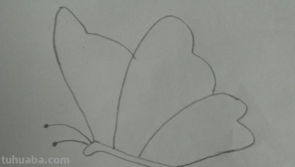 蝴蝶怎么画简笔画（蝴蝶怎么画简笔画图片）