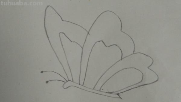 蝴蝶怎么画简笔画（蝴蝶怎么画简笔画图片）