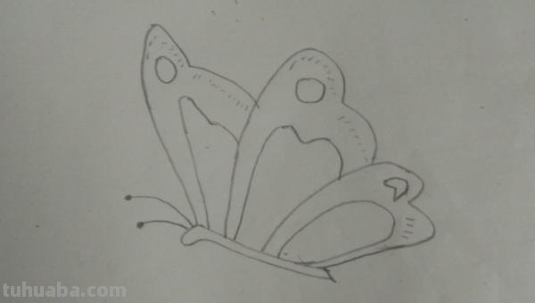 蝴蝶怎么画简笔画（蝴蝶怎么画简笔画图片）