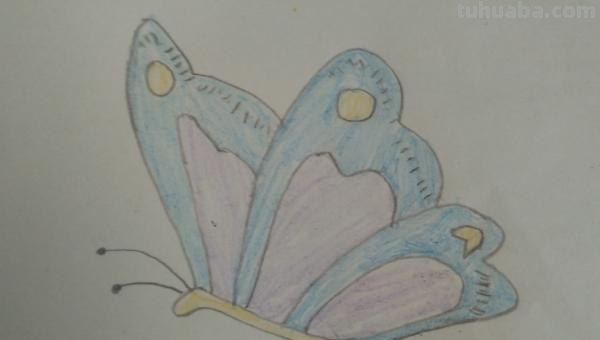 蝴蝶怎么画简笔画（蝴蝶怎么画简笔画图片）