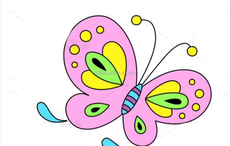 蝴蝶怎么画简笔画（蝴蝶怎么画简笔画图片）