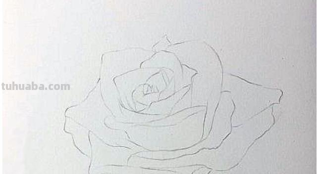 怎么用彩铅画花（怎么用彩铅画花朵）