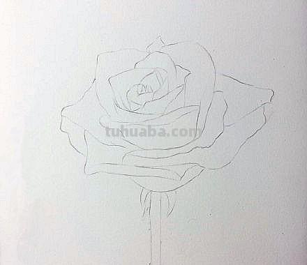 怎么用彩铅画花（怎么用彩铅画花朵）