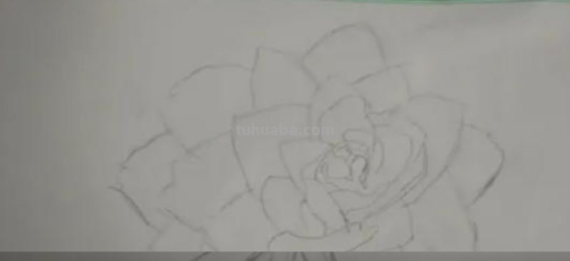 怎么用彩铅画花（怎么用彩铅画花朵）