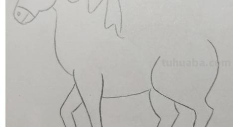 马怎么画简笔画（马怎么画简笔画 儿童）