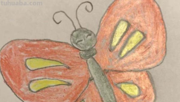 蝴蝶简笔画怎么画(蝴蝶蝴蝶简笔画怎么画) 蝴蝶简笔画怎么画(蝴蝶蝴蝶简笔画怎么画)