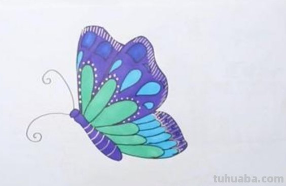 蝴蝶简笔画怎么画(蝴蝶蝴蝶简笔画怎么画) 蝴蝶简笔画怎么画(蝴蝶蝴蝶简笔画怎么画)