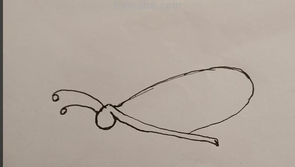 蝴蝶简笔画怎么画(蝴蝶蝴蝶简笔画怎么画) 蝴蝶简笔画怎么画(蝴蝶蝴蝶简笔画怎么画)