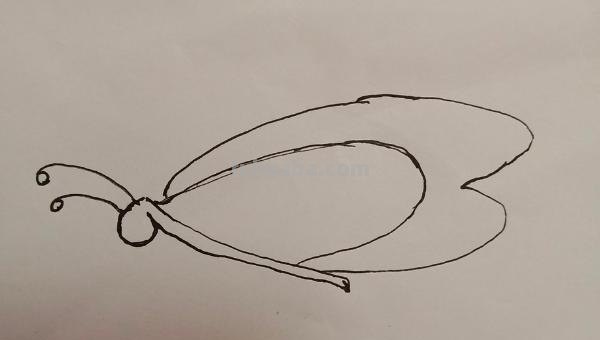 蝴蝶简笔画怎么画(蝴蝶蝴蝶简笔画怎么画) 蝴蝶简笔画怎么画(蝴蝶蝴蝶简笔画怎么画)
