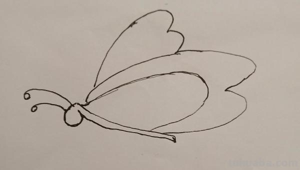 蝴蝶简笔画怎么画(蝴蝶蝴蝶简笔画怎么画) 蝴蝶简笔画怎么画(蝴蝶蝴蝶简笔画怎么画)